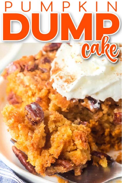 Easy Pumpkin Dump Cake Recipe, Easy Pumpkin Dump Cake, Slab Pies, Pumpkin Dump Cake Recipe, Pumpkin Cobbler, Pumpkin Dump, Pumpkin Pie Cake, Cake Pumpkin, Pumpkin Crunch Cake