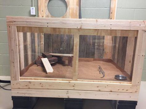 DIY Cage Made From Pallets! Pics up!! • Bearded Dragon . org Diy Bearded Dragon Cage, Pet Terrarium, Diy Bearded Dragon Enclosure, Bearded Dragon Vivarium, Bearded Dragon Terrarium Ideas, Snake Pet, Diy Reptile, Bearded Dragon Diy, Bearded Dragon Terrarium