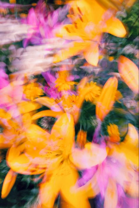 Blurred Flowers, Flower Film, Yellow Flower Art, Yellow Aesthetic Pastel, Artsy Background, Images Design, Collage Art Projects, Flowers Photo, Nothing But Flowers