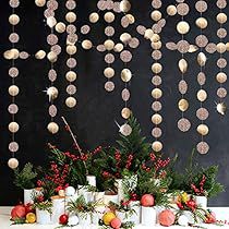 Streamer Backdrop, Circle Garland, Gold Tissue Paper, Rose Gold Circle, Glitter Champagne, Party Streamers, Gold Party Decorations, Rose Gold Party, Pom Pom Garland