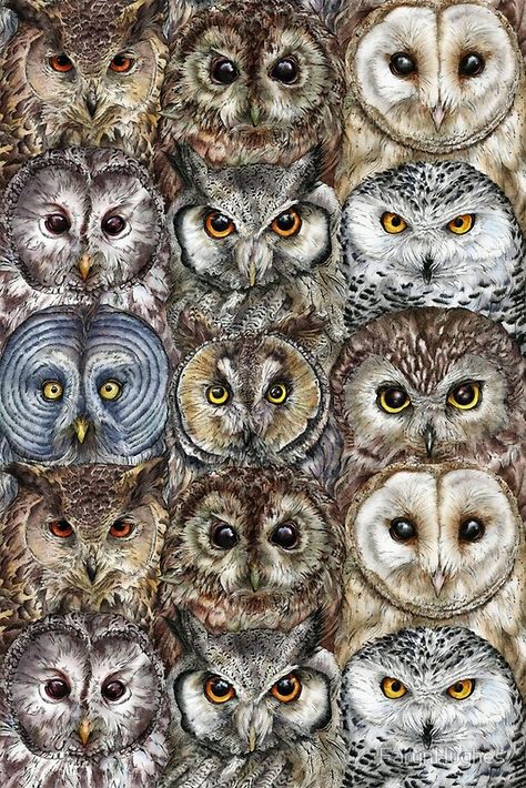 Owl Optics by FarynHughes Regard Animal, Owl Photos, Owl Pictures, Beautiful Owl, Owl Tattoo, Owl Bird, Wise Owl, Owl Art, Arte Animal