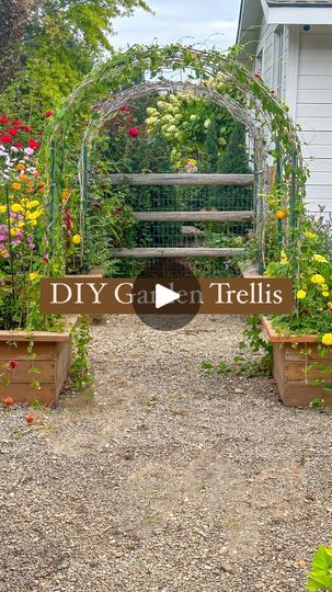 12K views · 961 reactions | Upgraded Cattle Panel Trellis! Vertical gardening is often overlooked, but adds so much beauty and potential to the space. I love the look of a garden trellis but they can be quite expensive. This is a great inexpensive alternative that still looks beautiful. 
Here’s what you’ll need :
* Cattle panel- the one we bought was 16ft x 50 inches available at feed and livestock stores. We got ours at @dbsupply 
* 6ft T- Posts one for each corner 
* Hose/Band clamps or strong zip ties
* Optional- grapevines for weaving 
Instructions:
* Cut your cattle panel to desired size. We cut ours down to 14 ft long by 36 inches wide to fit inside my raised garden beds. You can use and angle grinder or wire snips
* Hammer in your T-posts
* Attach the end of your panel to the bottom Cattle Wire Trellis, Cattle Panel Fence Diy Garden Trellis, Garden Arbour Ideas Diy, Raised Garden Beds With Trellis, Cattle Panel Garden, Cattle Panel Fence, Cattle Panel Trellis, Panel Trellis, Weaving Instructions