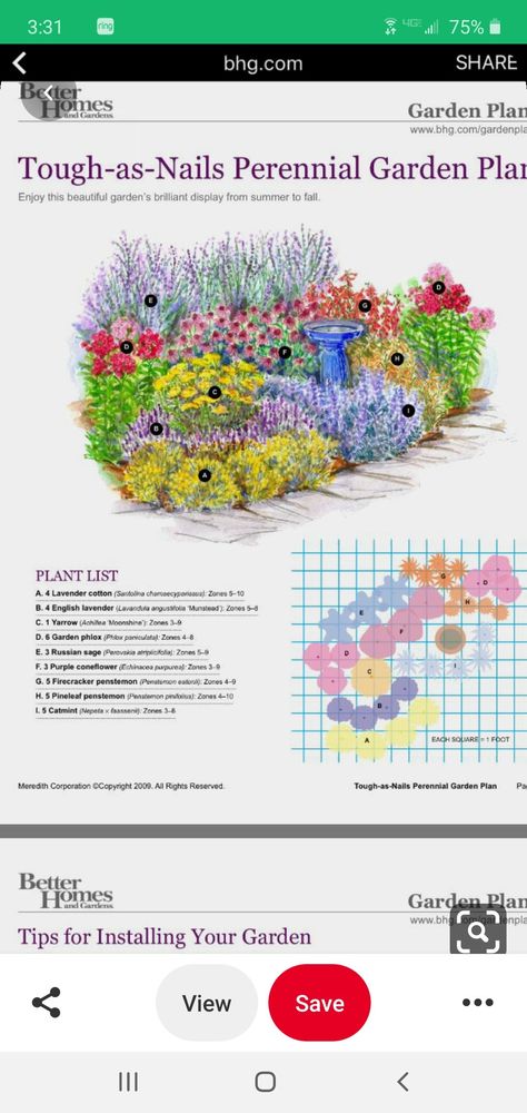 Perennial Garden Plan, Perennial Flower Garden, Perennial Garden Plans, Flower Garden Plans, Garden Flowers Perennials, Perennial Flower, Garden Plan, Garden Plans, Tough As Nails