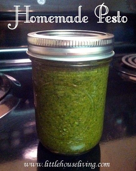 Homemade Pesto and how to preserve it #canning #preserving #pesto - Put a dollop on top of olive oil, sprinkle with parmesan & serve with crusty bread... Yum! Canning Pesto, Homemade Pesto Recipe, Food Dehydration, Food Preserving, Canning Food, Canned Food Storage, Canning Tips, Diy Spices, Homemade Pesto