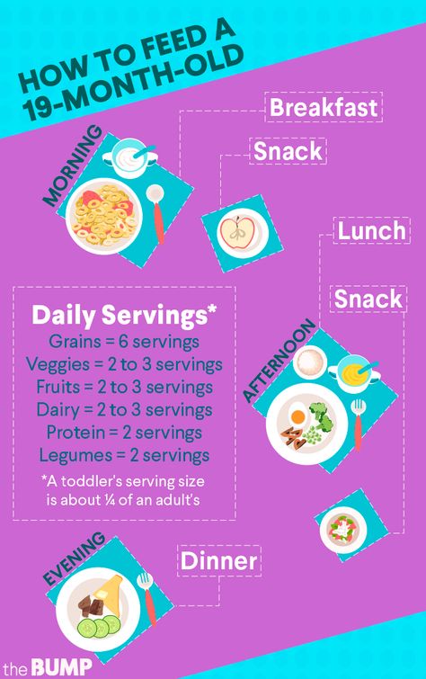 Looking for some tasty and nutritious meal inspiration? Check out these food ideas for a 19-month-old! 19 Month Old, Toddler Nutrition, Baby Food Chart, Picky Toddler, Development Milestones, Meal Inspiration, Baby Cooking, Healthy Toddler Meals, Food Charts