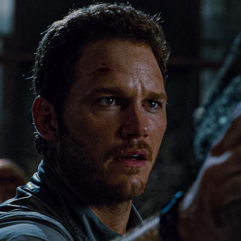 Owen Grady Jurassic World, Jurassic World Chris Pratt, Claire Dearing, Owen Grady, Bryce Dallas Howard, Film Icon, Celeb Crush, Chris Pratt, Character Reference