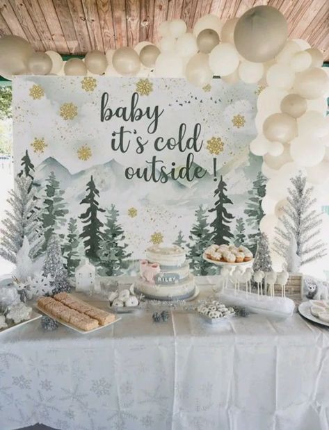 Cute Gender Reveal Themes Winter, Gender Reveal In January, January Gender Reveal Party, Gender Reveal Themes January, Boy Baby Shower Winter Theme, December Gender Reveal Themes, Gender Reveal Party Christmas Theme, Winter Birthday Theme Ideas, Baby It’s Cold Outside Theme