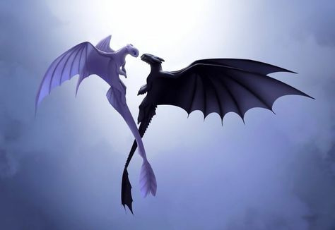 Toothless Wallpaper, Night Fury Dragon, Httyd Art, Toothless Dragon, Light Fury, Httyd Dragons, Dragon Party, Dragon Trainer, Night Fury