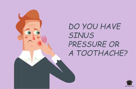 Our human body is a confused biological system. Isn’t it? The Interlink of the organs is so complex and complicated within the body. One such confusing and bothering pain in the body is sinus pressure and toothache. Sinus and teeth both stay close to each other near the nasal cavity, and so if pain occurs, we will not be able to identify it. However, a dentist will be able to judge if the pain is due to sinus pressure or a toothache. Biological System, Clogged Sinuses, Wisdom Teeth Pain, Tooth Pain Relief, Sinus Cavities, Tooth Ache Relief, Tooth Infection, Sinus Pain, Sinus Relief