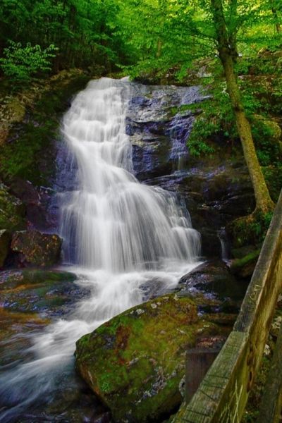 9 Hiking Trails To Try Around Charlottesville, Virginia Virginia Vacation, North Garden, Virginia Travel, Virginia Is For Lovers, Cascade Waterfall, Charlottesville Virginia, Waterfall Hikes, Shenandoah National Park, Music Events