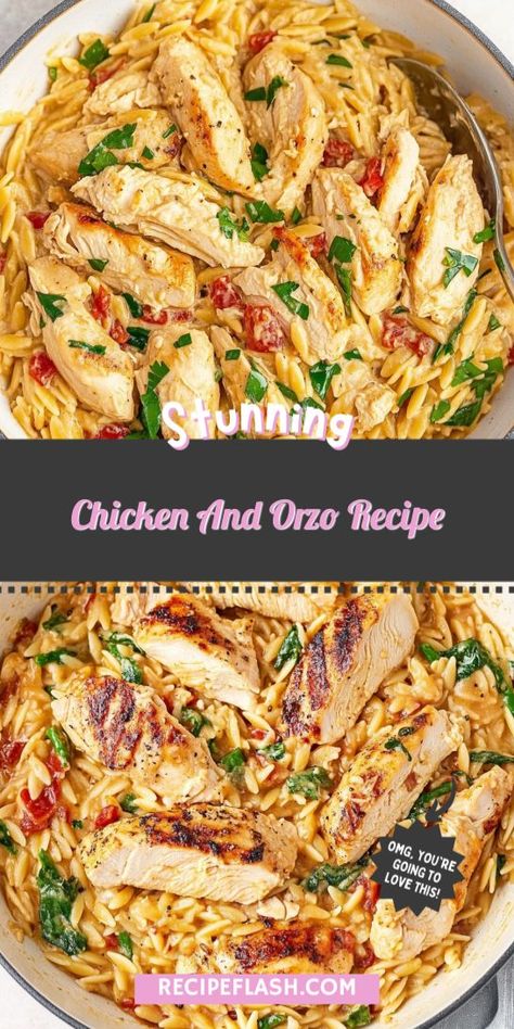 Looking for a delicious and healthy dinner option? This Chicken and Orzo Recipe is perfect for a light meal that’s packed with flavor and nutrients! Save this recipe for an easy weeknight dinner that your family will love, and enjoy a satisfying, guilt-free meal tonight! Baked Chicken Orzo Recipes, Crockpot Chicken Orzo, Orzo Recipes Chicken, Quick Light Dinner Ideas, Orzo Chicken Recipes, Chicken And Orzo Recipes, Creamy Chicken And Orzo, Chicken Orzo Recipes, Light Dinner Ideas