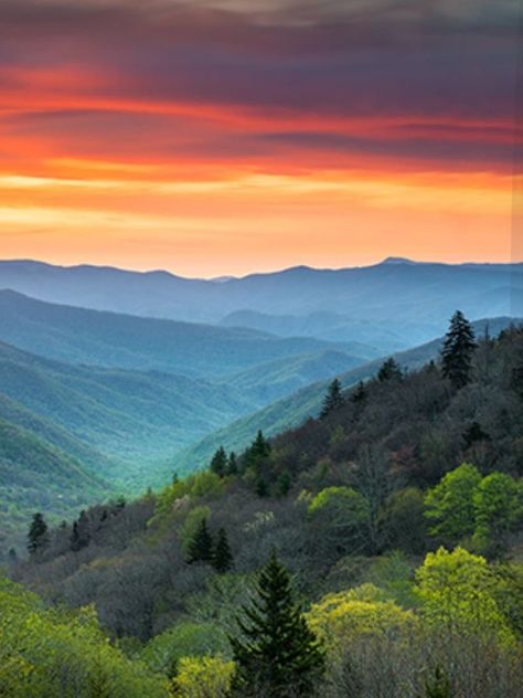 Smoky Mountain Pictures, Great Smoky Mountains Photography, Sunrise On Mountains, Mountains Landscape Photography, North Carolina Painting, Smoky Mountain Painting, Beautiful Sunset Mountains, Tennessee Painting, North Carolina Aesthetic