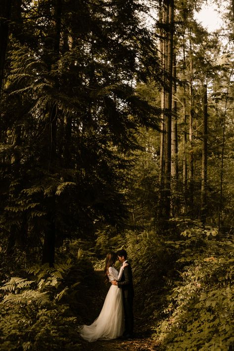 Washington Wedding Photographer, Elopement Photography, Woods, PNW, Dark and moody, Warm and romantic Pnw Forest, Moody Wedding Photography, Forest Elopement, Forest Theme Wedding, 3rd Wedding Anniversary, Washington Elopement, Moody Photography, Dark Wedding, Dark And Moody