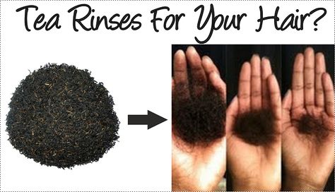 The Wonderful Benefits Of Tea Rinses For Your Hair Teabagging Your Hair, Black Tea For Hair Growth, Coffee Hair Rinse, Black Tea Rinse For Hair Shedding, Black Tea Hair Rinse, Hair Tea Rinse, Tea For Hair, Hair Rinse Diy, Tea Hair Rinse