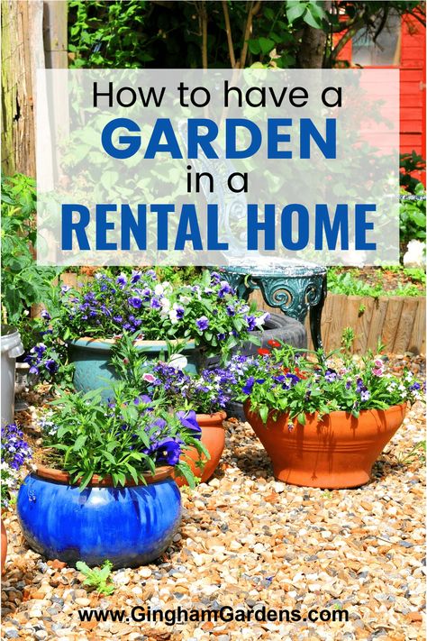 If you're living in a rental home and you're looking for an inexpensive, rewarding way to make your space greener, why not ask a landlord if you can have a garden? Having your own garden can bring a sense of pride and accomplishment, as well as providing you with fresh, homegrown fruits, vegetables and herbs. Gardening when you rent has some additional considerations and tips to remember, but with a bit of preparation and planning, you can create a thriving garden in your rental home. Backyard Ideas For Renters, Garden Ideas For Renters, Diy Backyard Ideas, Small City Garden, Planting Pot, Painted Pots Diy, Budget Garden, Starting A Garden, Home Vegetable Garden