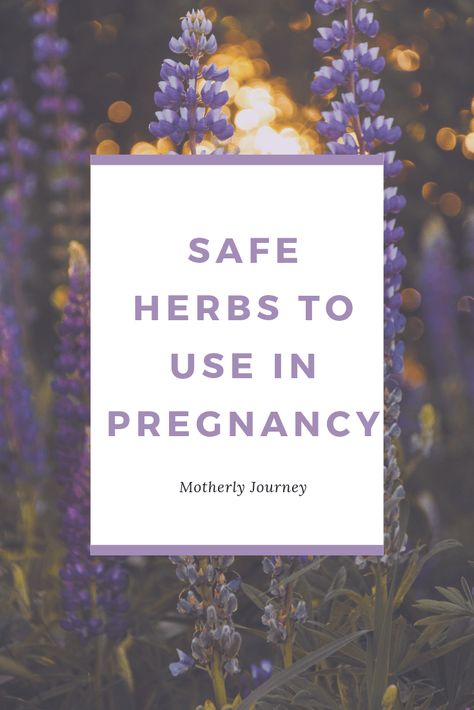 Best Herbs For Fertility, Herbs Safe For Pregnancy, Herbs For Pregnant Women, Pregnancy Witchcraft, Witchy Pregnancy, Herbs For Pregnancy, Spiritual Pregnancy, Pregnancy Herbs, Better Parenting