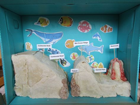 Ocean Floor Project, Ocean Diorama, Ocean Art Projects, Ocean Zones, Kids Hiking Boots, Ocean Trench, Ocean Projects, Kids Hiking, Continental Shelf