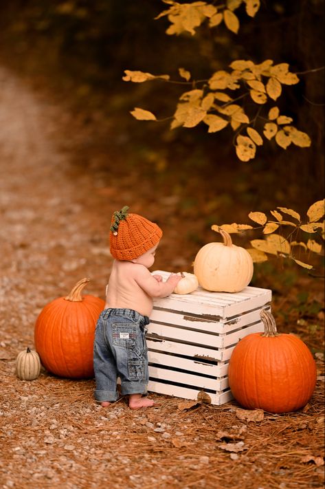 Fall 8 Month Pictures, October Pictures For Babies, Infant Fall Photoshoot At Home, 8 Month Old Fall Photos, Pumpkin Kids Photoshoot, Boy Fall Photo Shoot Ideas, Pumpkin One Year Old Pictures, 9 Month Old Fall Pictures, First Birthday Halloween Photo Shoot