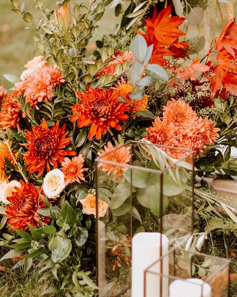 Autumn weddings 😍🍂 Did you know that October is the most popular month in New England to get married (according to The Knot!) By the looks of these photos from a project we did last autumn, it’s easy to see why 🫶 Planning: @wicker.flame Florals: @brilhanteflorals Photos: @kayleesfienphotography Wedding arch: @amore_arches Venue: @blithewold_ri Hair: @asoltys_styles Makeup: @kcbeautyri Dress: @modernvintagebridal Couple: @kenzfarland @damnskippy77 Fall Leaf Wedding Arch, Fall Leaves Wedding Arch, Autumn Floral Arch, Autumn Wedding Arch Ceremony Backdrop, Wedding Arch, Got Married, Fall Wedding, New England, Getting Married