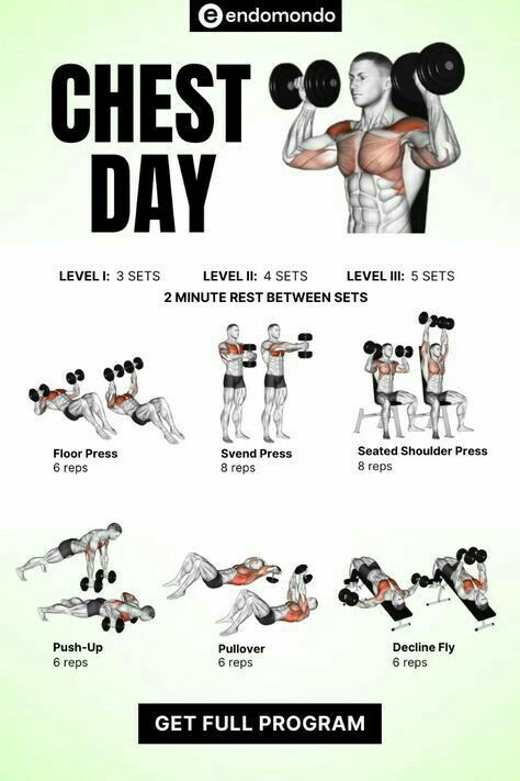 Lower Chest Workout At Home, Beginner Chest Workout Men, Chest And Leg Workout, Dumbell Flys Chest Exercises, Chest Workout Dumbbell Men, Chest Work Out Men, Chest Workouts For Men Dumbell, Men’s Chest Workout, Chest Day Workout Men