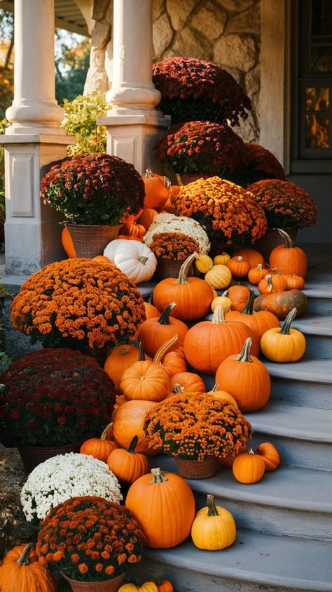 Discover 40 front porch fall decor ideas featuring pumpkins, mums, scarecrows, and straw bales. Create a cozy, rustic ambiance with these charming and creative decorations. Outdoor Pumpkin Decor Front Porches, Porch Fall Decorating Ideas, Pumpkin Porch, Mums In Pumpkins, Fall Patio, Fall Porch Ideas, Porch Fall Decor, Fall Porches, Fall Front Porch Decor Ideas