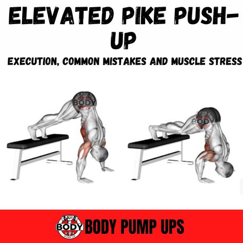 Elevated Pike Push-Up

By elevating your feet on a box, you advance these holds because you are now stabilizing a heavier percentage of your bodyweight on your arms.

Each of the setups steps from above still applies. This step allows you to make greater strength gains while also eliminating the fear of falling over.

#push #pushup #pickpushup #elevatedpikepushups #elevatedpikepushup #elevatedpickguard #pushupchallenge #pushupworkout #workoutathome #workoutatgym #gympushup #arm #triceppushup Elevated Push Ups, Pike Push Up Exercise, Pike Pushup, Tricep Pushup, Fear Of Falling, Push Up Workout, Body Pump, Push Up Challenge, Face Photography