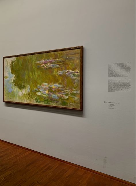 Monet painting preserved in Albertina Museum, Vienna The Water Lily Pond, Albertina Museum, Water Lily Pond, Monet Paintings, Lily Pond, Water Lily, Vienna, Places To See, Art Gallery