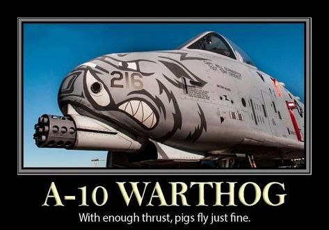 A 10 Warthog Memes, A10 Warthog Memes, A10 Warthog, A 10 Warthog, Pigs Fly, Flying Pig, Best Pics, Animal Quotes, Life Images