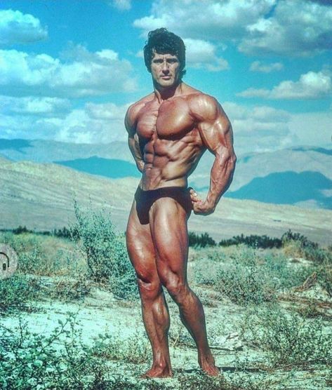 Frank Zane Physique, Classic Physique Poses, 70s Bodybuilding, 90s Bodybuilding, Classic Physique Bodybuilding, 80s Bodybuilding, Krampus Shirt, Martial Arts Poses, Archer Pose