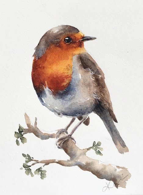 Wednesday Watercolor, Bird Drawing Ideas, Bird Drawing Easy, Watercolor Robin, Simple Bird Drawing, Bird Watercolor Art, Sparrow Art, Bird Painting Acrylic, Bird Watercolor Paintings