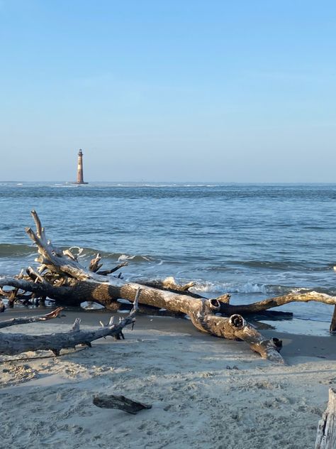 Lighthouse | outer banks | folly beach | Charleston | South Carolina | things to do | beach | private beach Travel Bugs, Filming Locations, Charleston Sc, Outer Banks, South Carolina, Charleston, Lighthouse, Banks, Places To Visit