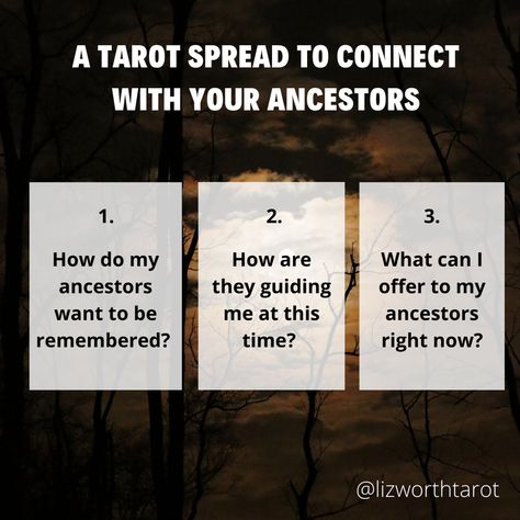 Connecting With Your Ancestors All Year-Round Tarot Business, Ancestry Dna, Tarot Tips, Tarot Astrology, How To Talk, Personal History, What Is Your Name, Blessed Be, Irish Traditions