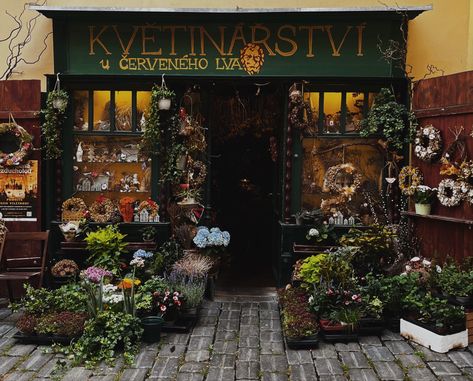 #darkacademia #academia #flowers #flowershop #europe #travel #prague #czechrepublic #aesthetic Flower Shop Aesthetic Dark, Florist Aesthetic Male, Dark Flower Shop Aesthetic, Dark Flower Shop, Flower Shop Aesthetic Vintage, Flowershop Aesthetic, Floral Shop Aesthetic, Florist Aesthetic, Flower Shop Aesthetic