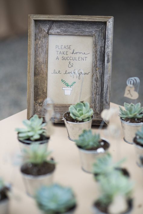 Succulent Photography, Succulent Favors, Southwest Wedding, Succulent Wedding, Marriage Ceremony, Desert Wedding, Arizona Wedding, Ranch Wedding, Mountain Wedding