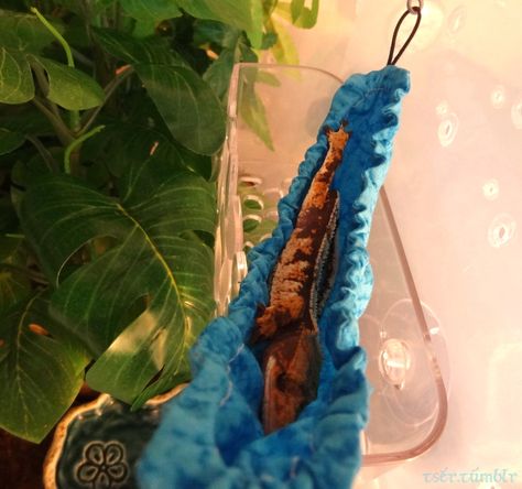 Gecko Enclosure Ideas, Crested Gecko Enclosure, Crested Gecko Care, Hammock Diy, Gecko Enclosure, Reptile Decor, Cute Gecko, Crested Geckos, Cute Lizard