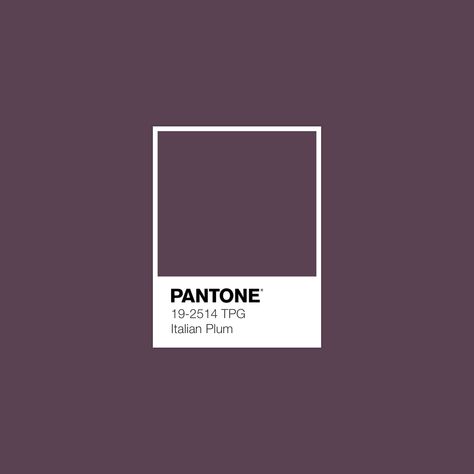 #Pantone Italian Plum #luxurydotcom Purple In Nature, Purple Pantone, Vino Color, Pantone Colours, Pantone Colour Palettes, Color Pantone, Plum Wine, Textile Projects, True Summer