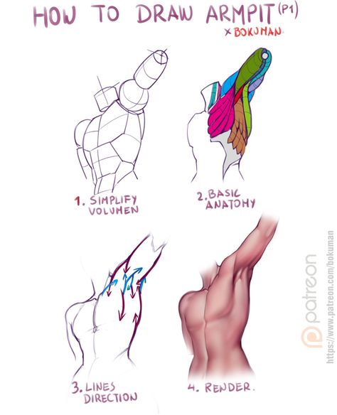 Armpit tutorial | Bokuman on Patreon Arm Anatomy, Arm Drawing, Man Anatomy, Anatomy Tutorial, Human Anatomy Drawing, Body Sketches, Human Anatomy Art, Anatomy Sketches, Body Reference Drawing