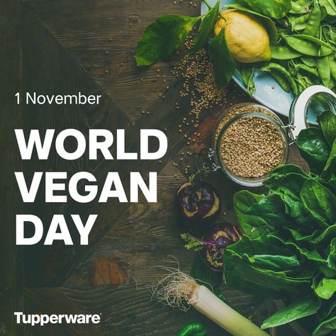 Reuseable Bag, Tupperware Storage, World Vegan Day, Antipasto Platter, Innovative Kitchen, Fridge Storage, Vegan Meal, Business Opportunity, Latest Recipe