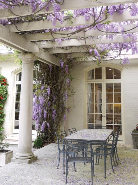 Frame the horizon with wood, wisteria and some classic climbing vines. Pergola Trellis, Wisteria Pergola, Diy Pergola Kits, Garage Pergola, White Pergola, Pergola Diy, Cheap Pergola, Patio Pergola, Pergola Lighting