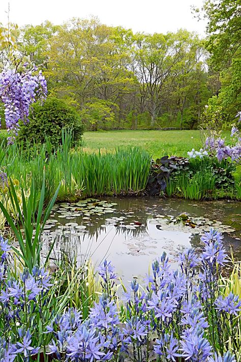 Indoor Fish Pond, Indoor Pond Ideas, Indoor Pond, Pond Garden, Pond Ideas, Pond Landscaping, Pond Design, Garden Pond, Fish Pond