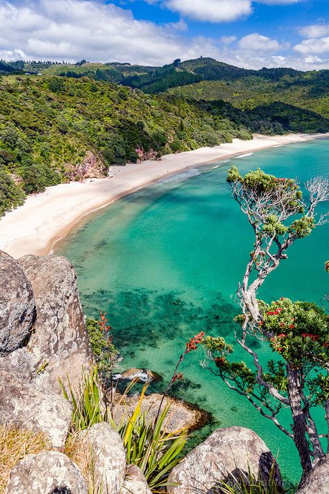 New Chums Beach in New Zealand's Coromandel Peninsula Tropical Islands Paradise, New Zealand Beach, Nz Travel, A T, Oceania Travel, Landscape Photography Nature, Incredible Places, Beautiful Places To Travel, Beautiful Places To Visit