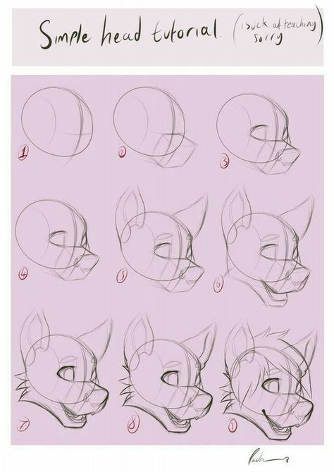 905056c1ac1dad141560467e0a99e1cf Wolf Drawing, Animal Sketches, Anime Drawings Tutorials, Art Tutorials Drawing, Facial Expressions, Drawing Base, Drawing Reference Poses, Drawing Tips, Art Drawings Sketches