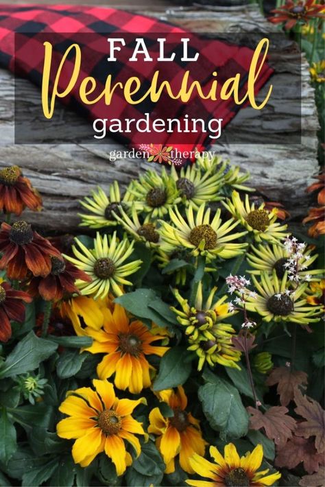 Master Photoshoot, Fall Planting Perennials, Perennial Garden Ideas, Garden Decorations Ideas, Perenial Garden, Photoshoot Challenge, Computer Decoration, Tiny Yard, Bts Design