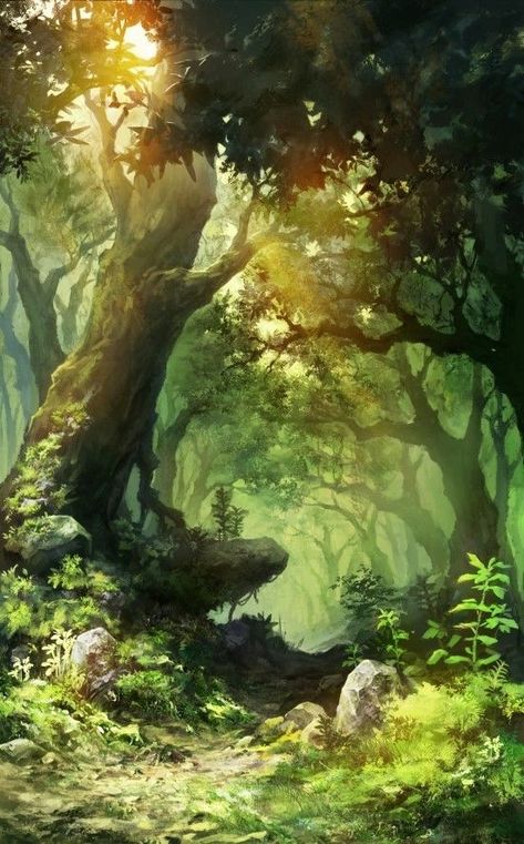 Silence Photo, Voice Of Nature, 숲 사진, Fantasy Background, Forest Background, Forest Illustration, Fantasy Forest, Fantasy Places, Forest Art