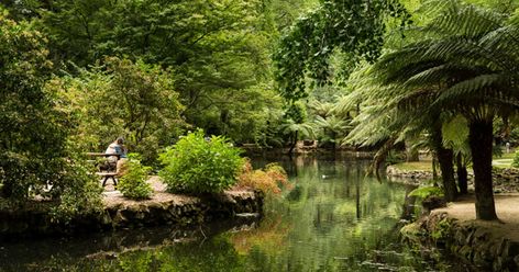 Trust us. The Dandenong Ranges are about MUCH more than laced doyleys, monstrous tourist buses and scones jam & cream. Valley Photography, Planet Zoo Inspiration, Zoo Inspiration, Cute Date Ideas, Cute Date, Yarra Valley, Colorful Plants, Secret Gardens, Places To Shop