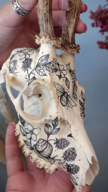 Decoupage Deer Skull, Painted Bear Skull, Animal Skull Painting Ideas, Painting On Bones, Deer Skull Art Ideas, Antler Carving Ideas, Deer Skull Art Diy, Dipped Deer Skull, Bone Art Diy