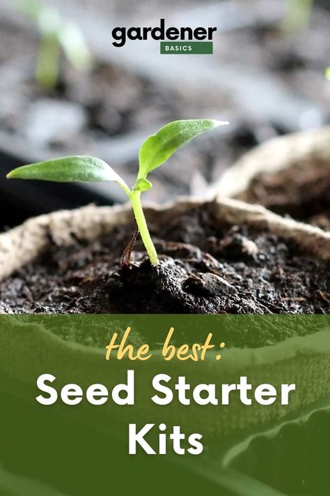 Gardening Herbs, Seed Starters, Craft Hobbies, Seed Starter Kit, Herbs Plants, Seed Starter, Covered Garden, Seed Starting, Gardening For Beginners