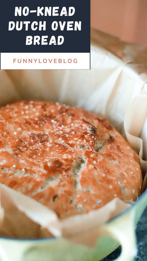 This is the best, most foolproof way to make no-knead artisan bread in a dutch oven! The method is foolproof and can be adjusted and played around with, plus lots of tips and tricks, which dutch oven is best, and my favorite yeast and flour combo! #homemadebread #nokneadbread #dutchovenbread via @howertonhastings Bread In A Dutch Oven, Easy Dutch Oven Recipes, Dutch Oven Recipes Cast Iron, Best Dutch Oven, Oven Bread, Dutch Oven Bread, Knead Bread Recipe, Artisan Bread Recipes, Dutch Oven Cooking