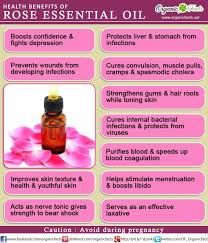 Rose Essential Oil Benefits, Essential Oil For Skin, Calendula Benefits, Oil For Skin, Coconut Health Benefits, Rose Absolute, Benefits Of Coconut Oil, Essential Oil Benefits, Rose Essential Oil