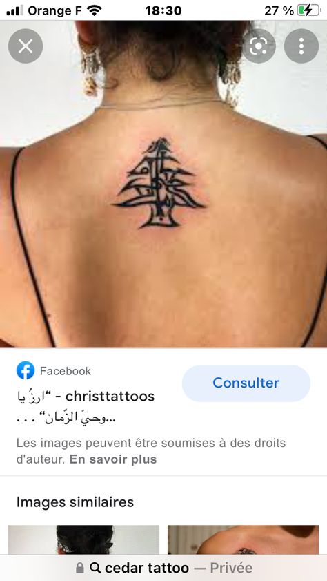 Lebanese Tattoo, Lebanon Tattoo, Cross Tattoo, Tree Tattoo, Minimal Tattoo, Deathly Hallows Tattoo, Lotus Flower Tattoo, Lebanon, Abs Workout